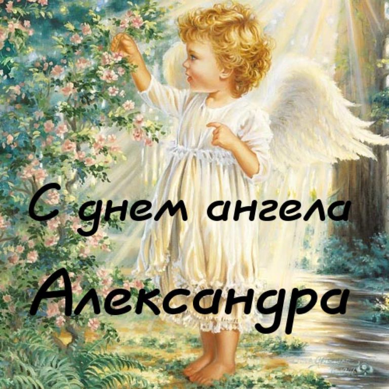 Поздравления С Днем Ангела Александру Картинки