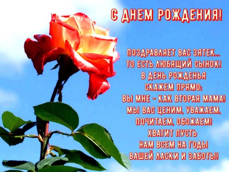 Краткое Поздравление С Днем Рождения Теще