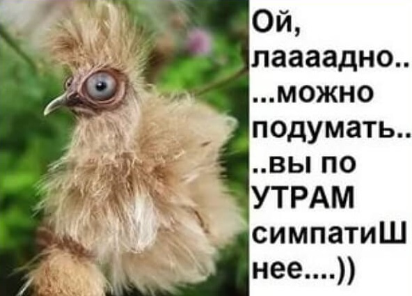 Самые прикольные картинки (36 фото)