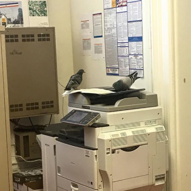 Картинки приколы офис