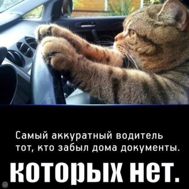 Прикольные Фото Для Настроения С Надписями Прикольные Фото Для Настроения С Надписями