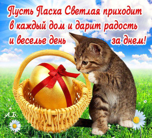картинки христос воскрес пасха красивые. Смотреть фото картинки христос воскрес пасха красивые. Смотреть картинку картинки христос воскрес пасха красивые. Картинка про картинки христос воскрес пасха красивые. Фото картинки христос воскрес пасха красивые