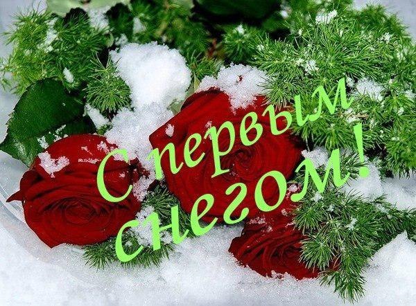 Картинки прикольные с первым снегом с надписями, днем рождения