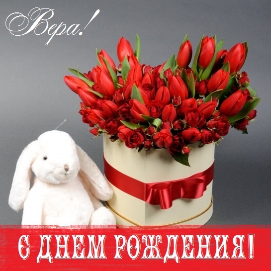 букет для веры в день рождения. Смотреть фото букет для веры в день рождения. Смотреть картинку букет для веры в день рождения. Картинка про букет для веры в день рождения. Фото букет для веры в день рождения