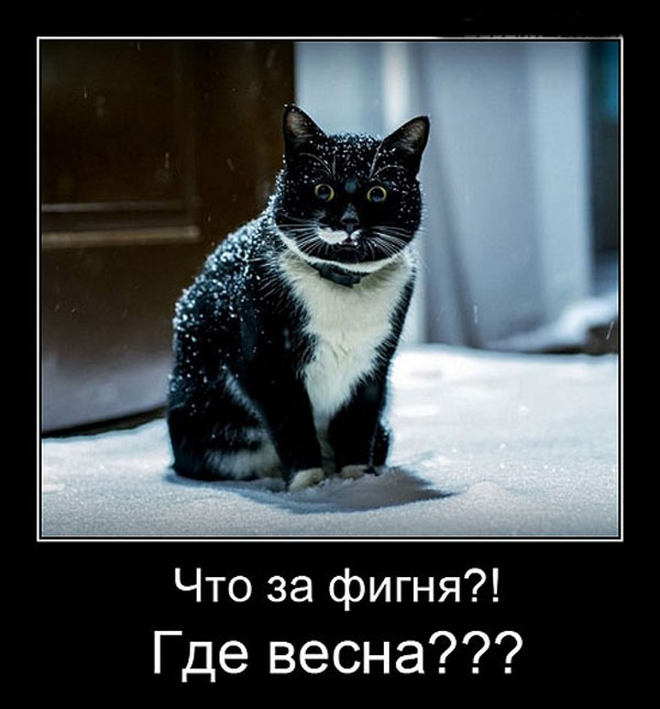 Весна заблудилась смешные картинки с надписью, радости