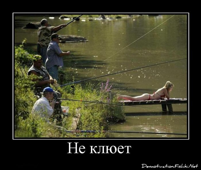 Прикольные Фото Про Рыбалку