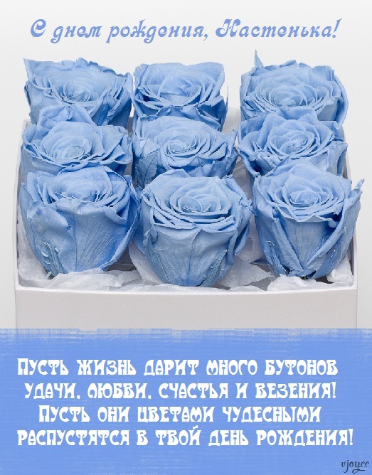 Открытки с днем рождения Настя (66 фото)