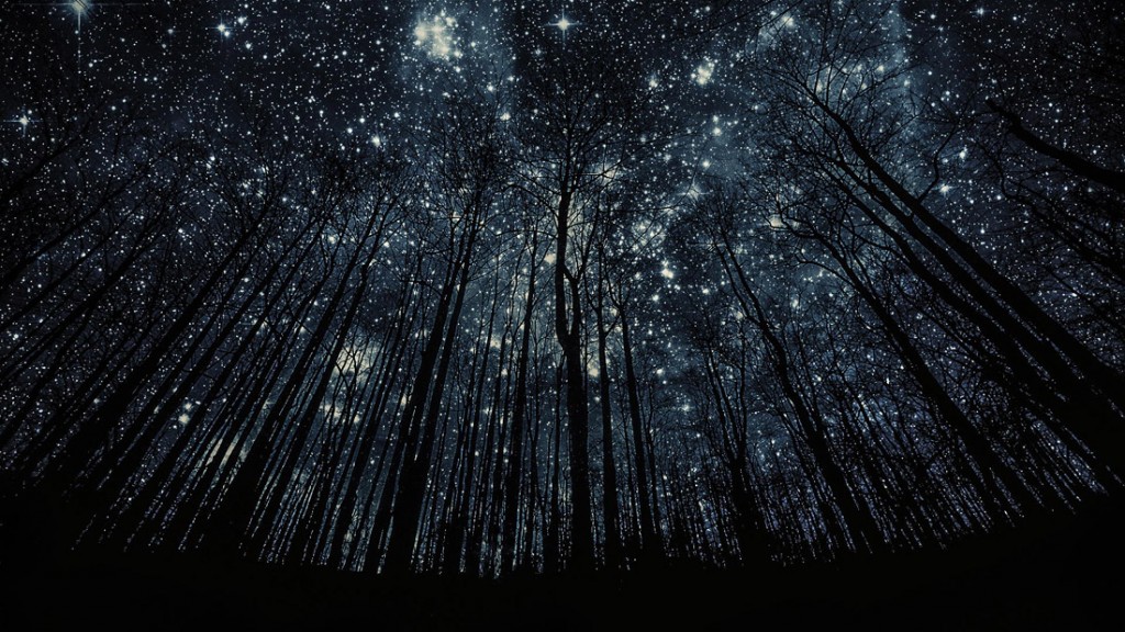 100 000 изображений по запросу Ночное звездное небо доступны в рамках роялти-фри лицензии