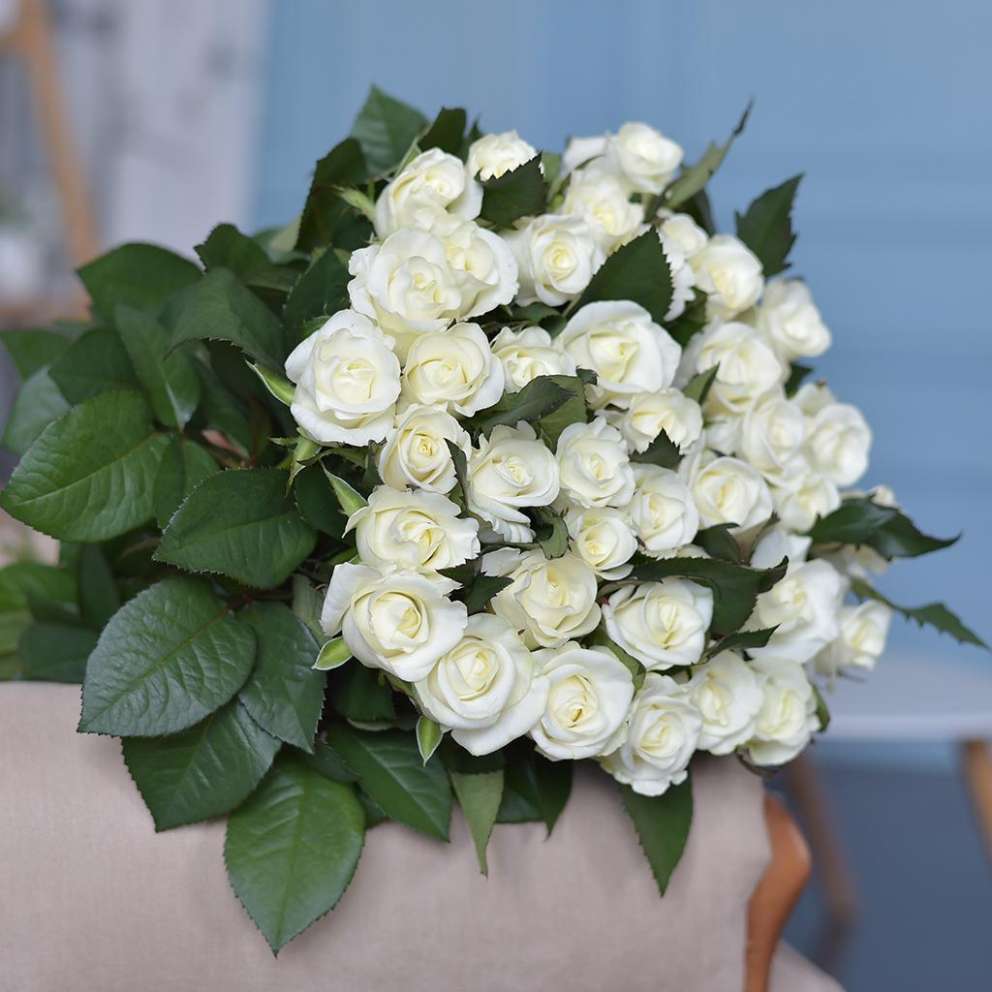 Самые красивые цветы в мире фото розы белые