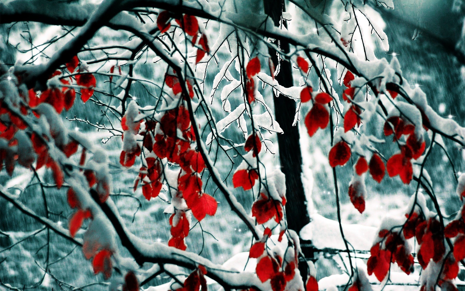 Осень Зима Лета Весна Фото