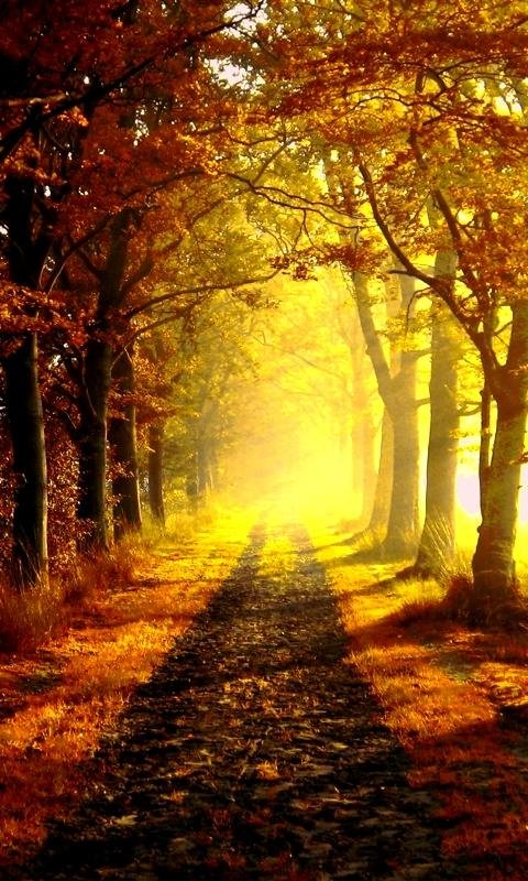 Осенний Пейзаж Фото На Телефон Красивые