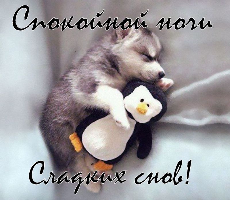Открытки сладких снов родной мой. 1535115186658. Открытки сладких снов родной мой фото. Открытки сладких снов родной мой-1535115186658. картинка Открытки сладких снов родной мой. картинка 1535115186658. Инфо: 540х960 | 240 Kb