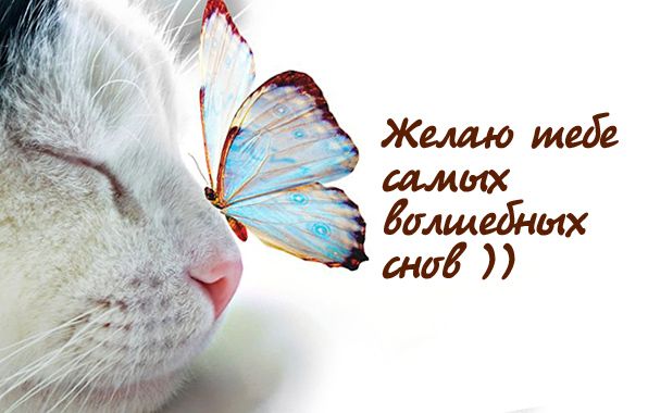Открытки сладких снов родной мой. 6dbac58c23f44434c353f21cef6c1562. Открытки сладких снов родной мой фото. Открытки сладких снов родной мой-6dbac58c23f44434c353f21cef6c1562. картинка Открытки сладких снов родной мой. картинка 6dbac58c23f44434c353f21cef6c1562. Инфо: 540х960 | 240 Kb
