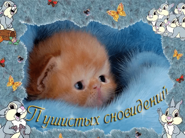 Открытки сладких снов родной мой. image. Открытки сладких снов родной мой фото. Открытки сладких снов родной мой-image. картинка Открытки сладких снов родной мой. картинка image. Инфо: 540х960 | 240 Kb