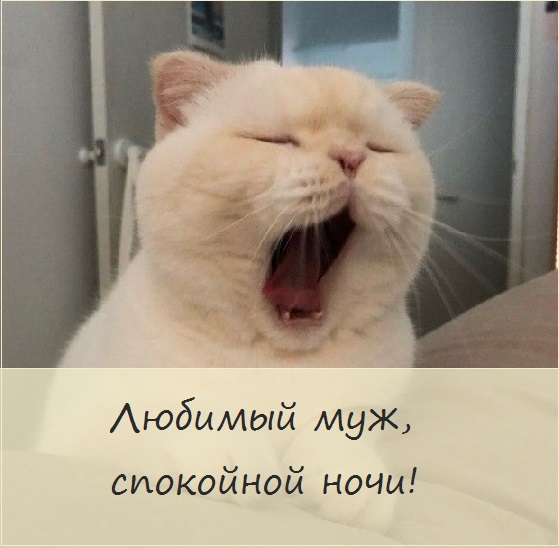 Открытки сладких снов родной мой. lyubimyj spokojnoj nochi123. Открытки сладких снов родной мой фото. Открытки сладких снов родной мой-lyubimyj spokojnoj nochi123. картинка Открытки сладких снов родной мой. картинка lyubimyj spokojnoj nochi123. Инфо: 540х960 | 240 Kb