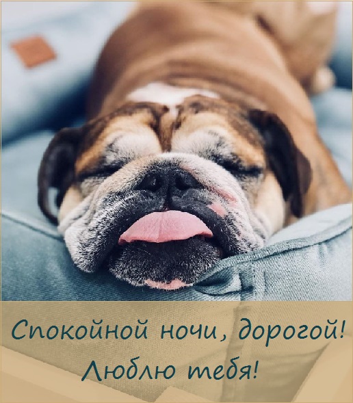 Открытки сладких снов родной мой. lyubimyj spokojnoj nochi1233454. Открытки сладких снов родной мой фото. Открытки сладких снов родной мой-lyubimyj spokojnoj nochi1233454. картинка Открытки сладких снов родной мой. картинка lyubimyj spokojnoj nochi1233454. Инфо: 540х960 | 240 Kb