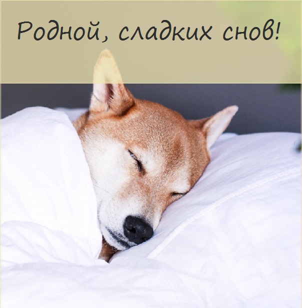 Открытки сладких снов родной мой. lyubimyj spokojnoj nochi12334544v. Открытки сладких снов родной мой фото. Открытки сладких снов родной мой-lyubimyj spokojnoj nochi12334544v. картинка Открытки сладких снов родной мой. картинка lyubimyj spokojnoj nochi12334544v. Инфо: 540х960 | 240 Kb