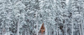 фотографии леди баг в полный рост. mid 266632 2591. фотографии леди баг в полный рост фото. фотографии леди баг в полный рост-mid 266632 2591. картинка фотографии леди баг в полный рост. картинка mid 266632 2591. Очень интересный мультсериал о двух школьниках — парне Адриане и о девушке, которая в него влюблена — Маринетт. С первого взгляда это самые простые дети, но когда наступает ночь, они становятся супергероями с волшебными амулетами. Предлагаем вашему вниманию красивые картинки Леди Баг и Супер-Кот.