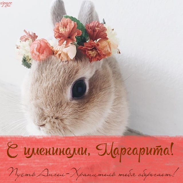 с днем святой маргариты открытки. Смотреть фото с днем святой маргариты открытки. Смотреть картинку с днем святой маргариты открытки. Картинка про с днем святой маргариты открытки. Фото с днем святой маргариты открытки