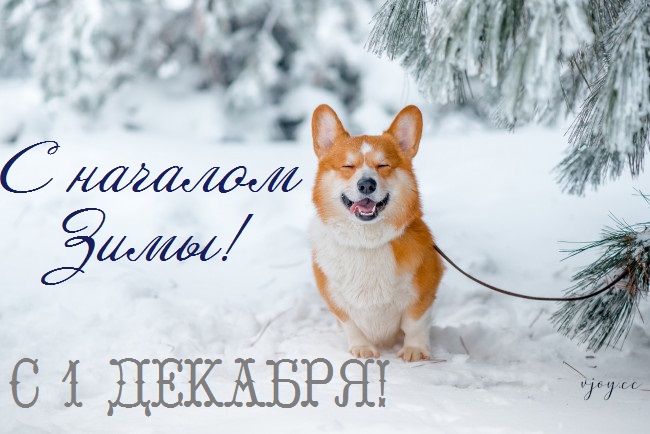 с первым днем зимы картинки анимация. Смотреть фото с первым днем зимы картинки анимация. Смотреть картинку с первым днем зимы картинки анимация. Картинка про с первым днем зимы картинки анимация. Фото с первым днем зимы картинки анимация
