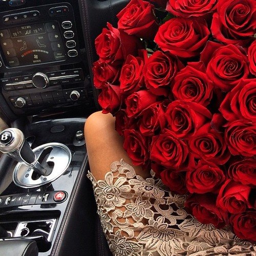 Розы в авто фото