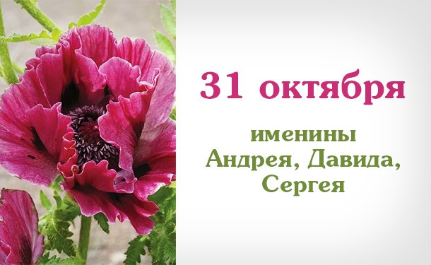 с именинами давида картинки. Смотреть фото с именинами давида картинки. Смотреть картинку с именинами давида картинки. Картинка про с именинами давида картинки. Фото с именинами давида картинки