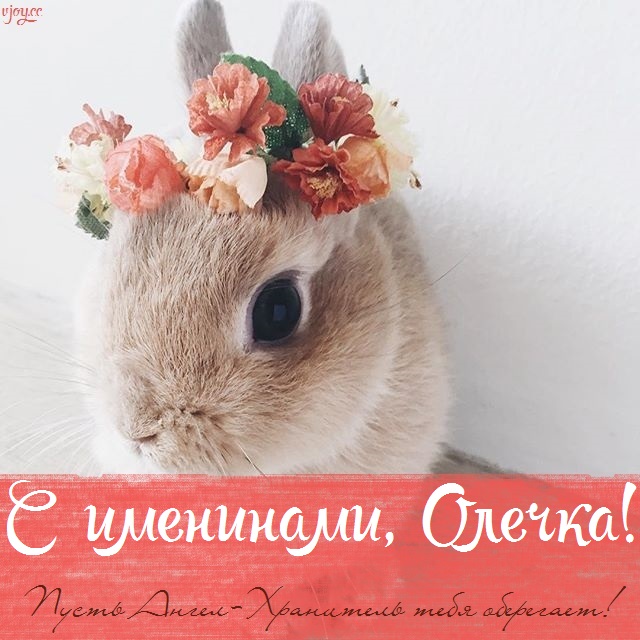 с именинами святой ольги картинки. Смотреть фото с именинами святой ольги картинки. Смотреть картинку с именинами святой ольги картинки. Картинка про с именинами святой ольги картинки. Фото с именинами святой ольги картинки