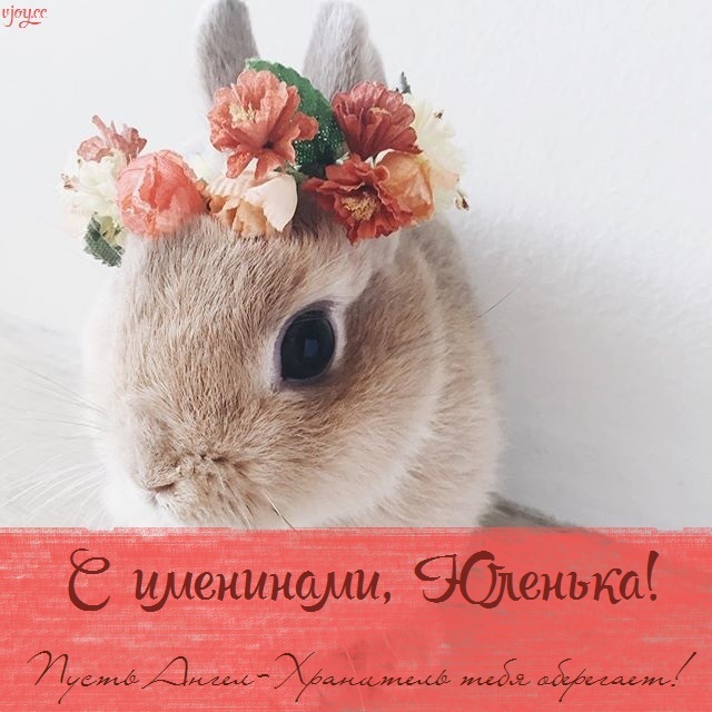 с днем юлии именины картинки. Смотреть фото с днем юлии именины картинки. Смотреть картинку с днем юлии именины картинки. Картинка про с днем юлии именины картинки. Фото с днем юлии именины картинки