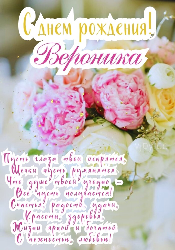 День рождения Вероники. 