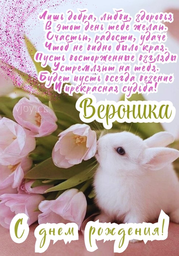 Вероника, с днем рождения тебя! 
