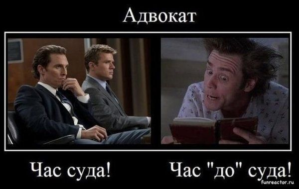 с днем юриста картинки смешные. Смотреть фото с днем юриста картинки смешные. Смотреть картинку с днем юриста картинки смешные. Картинка про с днем юриста картинки смешные. Фото с днем юриста картинки смешные