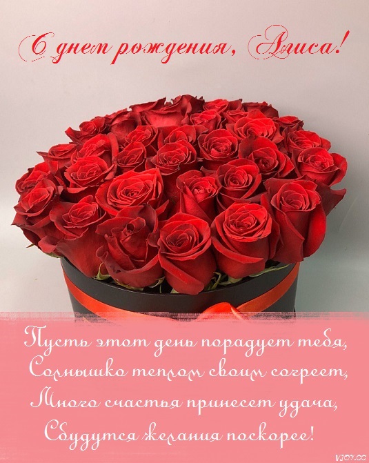 алисе 5 лет поздравления с днем рождения картинки. Смотреть фото алисе 5 лет поздравления с днем рождения картинки. Смотреть картинку алисе 5 лет поздравления с днем рождения картинки. Картинка про алисе 5 лет поздравления с днем рождения картинки. Фото алисе 5 лет поздравления с днем рождения картинки