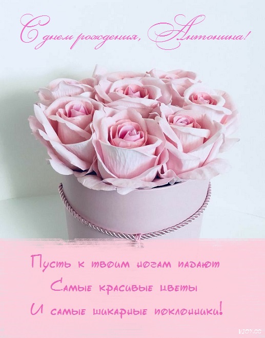 с днем рождения тетя тоня красивые картинки. Смотреть фото с днем рождения тетя тоня красивые картинки. Смотреть картинку с днем рождения тетя тоня красивые картинки. Картинка про с днем рождения тетя тоня красивые картинки. Фото с днем рождения тетя тоня красивые картинки