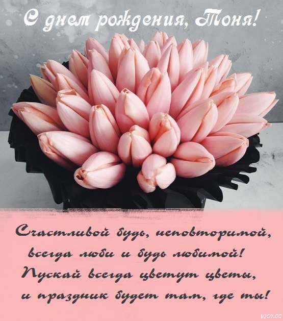 с днем рождения тетя тоня красивые картинки. Смотреть фото с днем рождения тетя тоня красивые картинки. Смотреть картинку с днем рождения тетя тоня красивые картинки. Картинка про с днем рождения тетя тоня красивые картинки. Фото с днем рождения тетя тоня красивые картинки