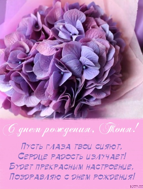 с днем рождения тетя тоня красивые картинки. Смотреть фото с днем рождения тетя тоня красивые картинки. Смотреть картинку с днем рождения тетя тоня красивые картинки. Картинка про с днем рождения тетя тоня красивые картинки. Фото с днем рождения тетя тоня красивые картинки
