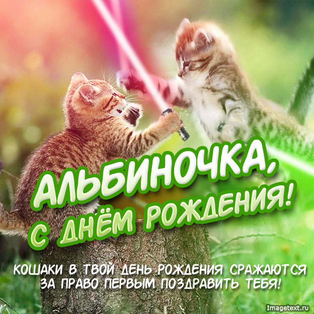 альбинчик с днем рождения картинки поздравления. Смотреть фото альбинчик с днем рождения картинки поздравления. Смотреть картинку альбинчик с днем рождения картинки поздравления. Картинка про альбинчик с днем рождения картинки поздравления. Фото альбинчик с днем рождения картинки поздравления