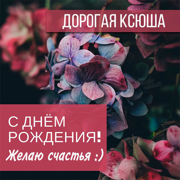 фото поздравления с днем рождения ксюша. Смотреть фото фото поздравления с днем рождения ксюша. Смотреть картинку фото поздравления с днем рождения ксюша. Картинка про фото поздравления с днем рождения ксюша. Фото фото поздравления с днем рождения ксюша