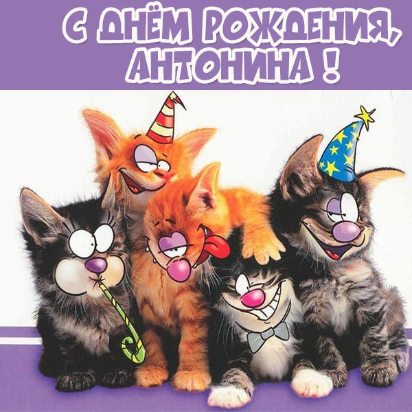 с днем рождения тетя тоня красивые картинки. Смотреть фото с днем рождения тетя тоня красивые картинки. Смотреть картинку с днем рождения тетя тоня красивые картинки. Картинка про с днем рождения тетя тоня красивые картинки. Фото с днем рождения тетя тоня красивые картинки