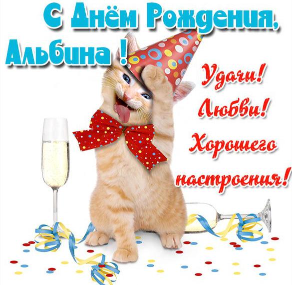 альбинчик с днем рождения картинки поздравления. Смотреть фото альбинчик с днем рождения картинки поздравления. Смотреть картинку альбинчик с днем рождения картинки поздравления. Картинка про альбинчик с днем рождения картинки поздравления. Фото альбинчик с днем рождения картинки поздравления