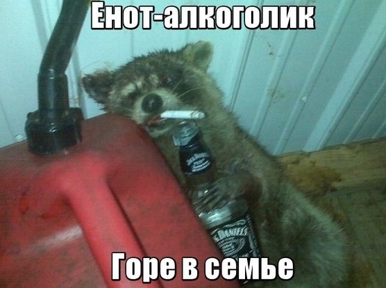 с днем рождения собутыльник картинки. Смотреть фото с днем рождения собутыльник картинки. Смотреть картинку с днем рождения собутыльник картинки. Картинка про с днем рождения собутыльник картинки. Фото с днем рождения собутыльник картинки