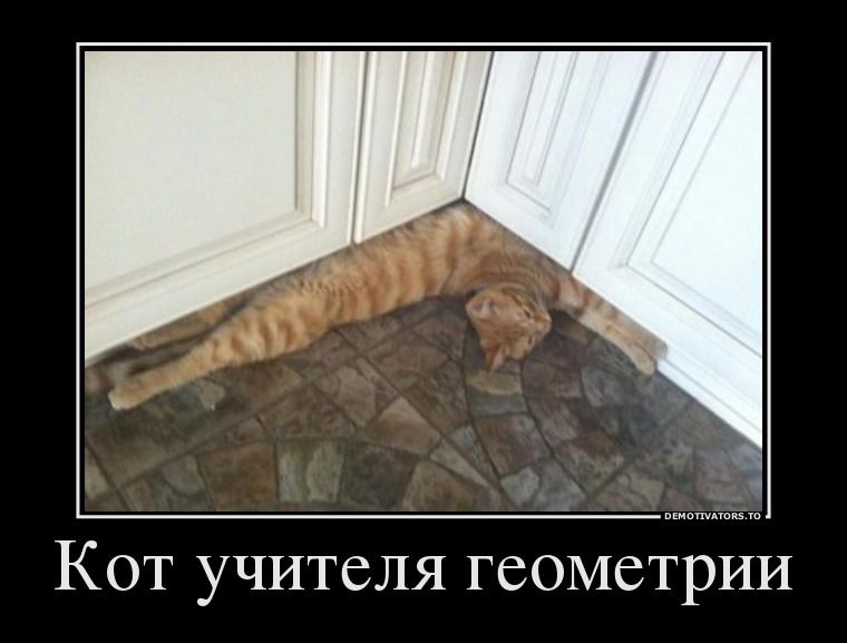 прикольные картинки кто на что учился. 201401050004 kot uchitelya geometrii kashamalasha com. прикольные картинки кто на что учился фото. прикольные картинки кто на что учился-201401050004 kot uchitelya geometrii kashamalasha com. картинка прикольные картинки кто на что учился. картинка 201401050004 kot uchitelya geometrii kashamalasha com. прикольные картинки кто на что учился. 201401050004 kot uchitelya geometrii kashamalasha com. прикольные картинки кто на что учился фото. прикольные картинки кто на что учился-201401050004 kot uchitelya geometrii kashamalasha com. картинка прикольные картинки кто на что учился. картинка 201401050004 kot uchitelya geometrii kashamalasha com.