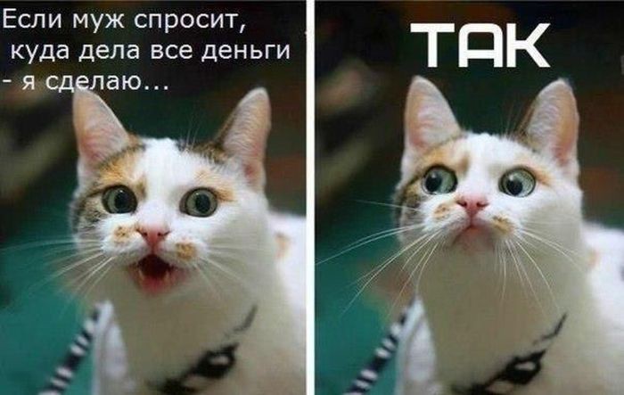 в день зарплаты прикол. Смотреть фото в день зарплаты прикол. Смотреть картинку в день зарплаты прикол. Картинка про в день зарплаты прикол. Фото в день зарплаты прикол