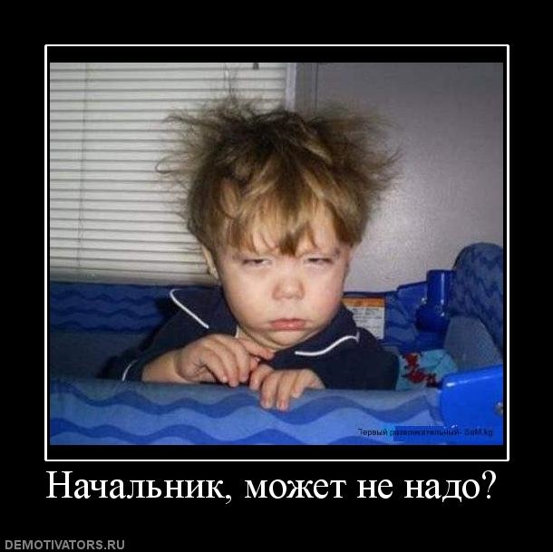 Шеф ну что картинки. Смотреть фото Шеф ну что картинки. Смотреть картинку Шеф ну что картинки. Картинка про Шеф ну что картинки. Фото Шеф ну что картинки