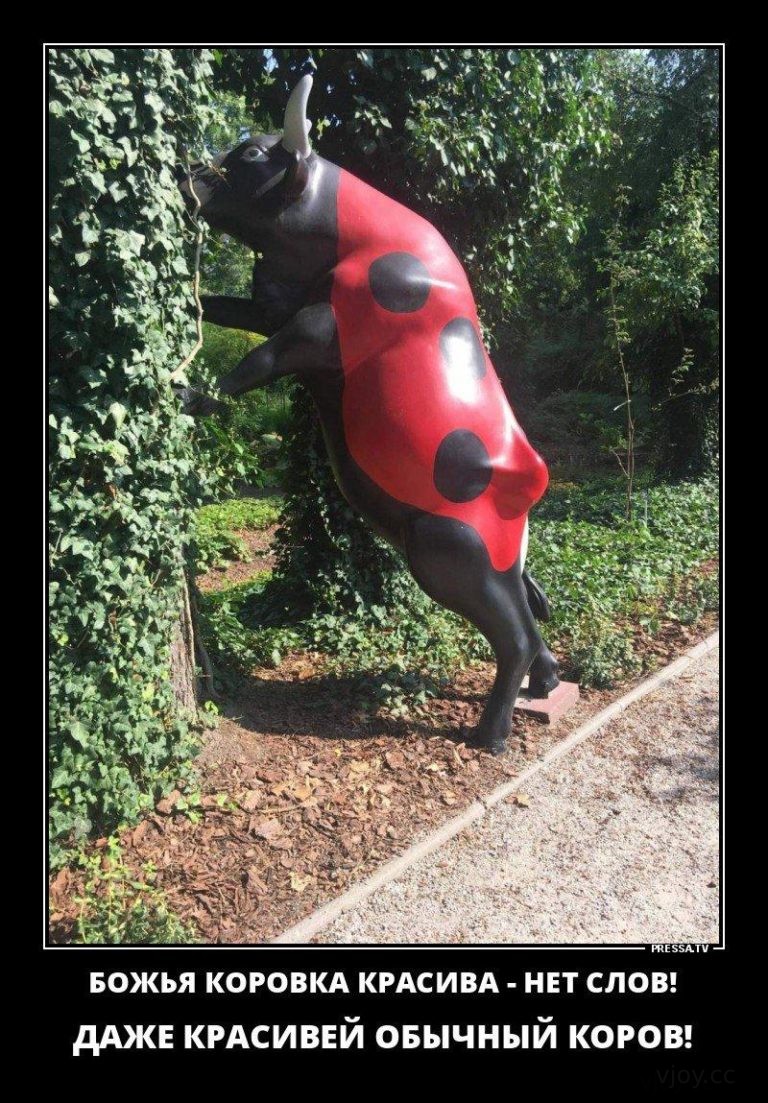 Картинки демотиваторы интересные и смешные (40 фото