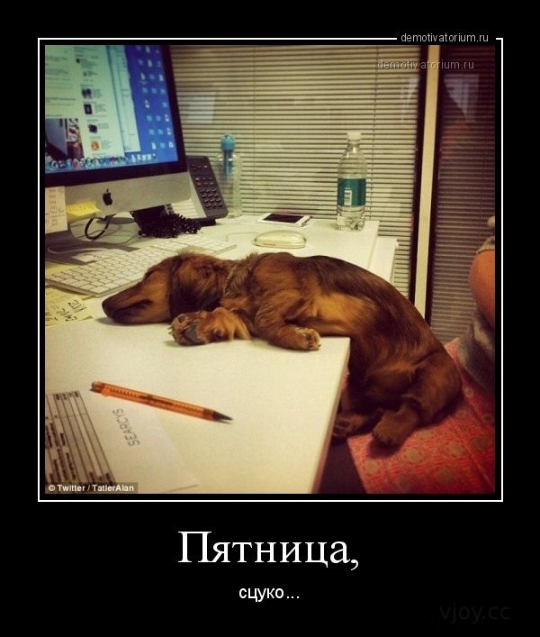 Демотиваторы Про Пятницу Новые