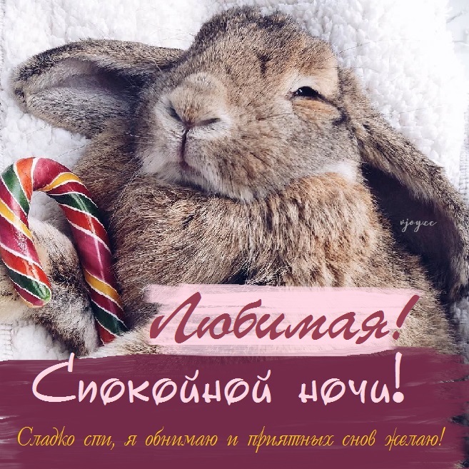 Картинки сказочных снов девушке. Смотреть фото Картинки сказочных снов девушке. Смотреть картинку Картинки сказочных снов девушке. Картинка про Картинки сказочных снов девушке. Фото Картинки сказочных снов девушке