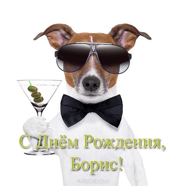боря с днем рождения картинки прикольные и смешные. Смотреть фото боря с днем рождения картинки прикольные и смешные. Смотреть картинку боря с днем рождения картинки прикольные и смешные. Картинка про боря с днем рождения картинки прикольные и смешные. Фото боря с днем рождения картинки прикольные и смешные