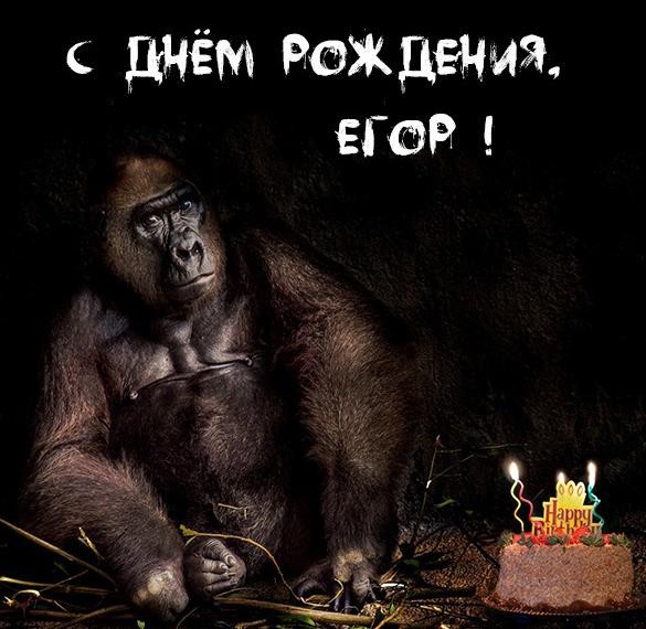 у егора день рождения картинка. Смотреть фото у егора день рождения картинка. Смотреть картинку у егора день рождения картинка. Картинка про у егора день рождения картинка. Фото у егора день рождения картинка