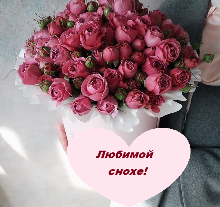 с днем рождения сноха картинки с приколом. Смотреть фото с днем рождения сноха картинки с приколом. Смотреть картинку с днем рождения сноха картинки с приколом. Картинка про с днем рождения сноха картинки с приколом. Фото с днем рождения сноха картинки с приколом