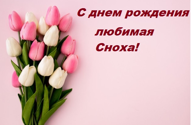 с днем рождения сноха картинки с приколом. Смотреть фото с днем рождения сноха картинки с приколом. Смотреть картинку с днем рождения сноха картинки с приколом. Картинка про с днем рождения сноха картинки с приколом. Фото с днем рождения сноха картинки с приколом